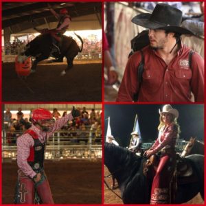 Gilbert Days Rodeo 2014 (Collage)