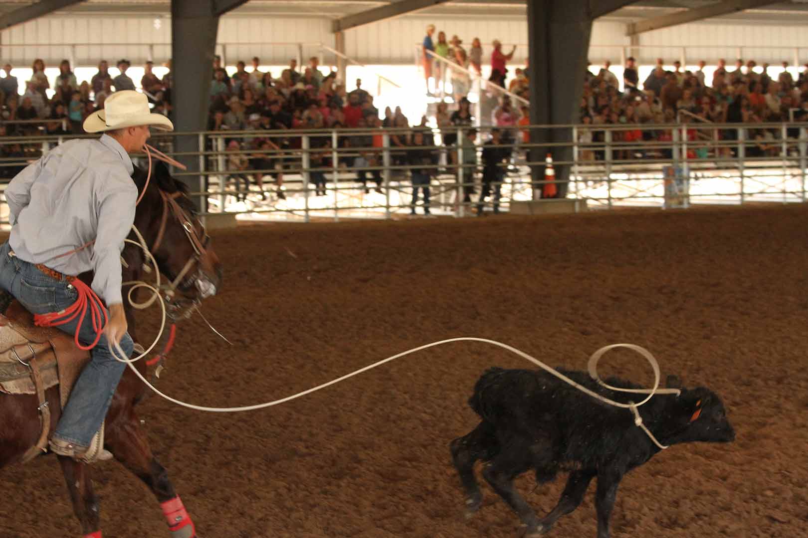 Gilbert Days Rodeo 2014 in Gilbert, Arizona Cowboy Lifestyle Network