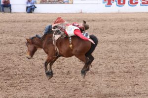 Kayce Feild Bareback Rider Tucson Rodeo 2014