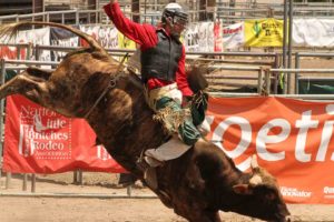 National-Little-Britches-Championship-Rodeo-2014-in-Pueblo,-Co-(5)