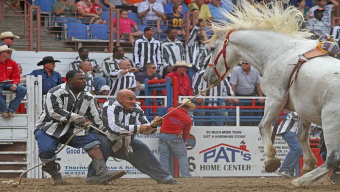 What are Prison Rodeos? - Cowboy Lifestyle Network