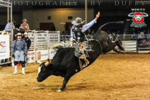 Barrett-Jackson Bull Riding 2015 (19)