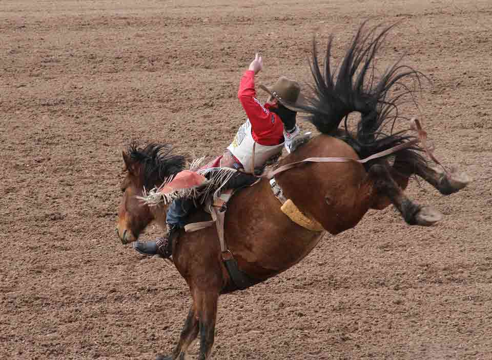 Kaycee Feild Tucson Rodeo 2014 (CLN Highlight Image)