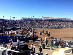 View-from-Coors-Light-RV-at-Tucson-Rodeo-La-Fiesta-de-los-Vaqueros-2015