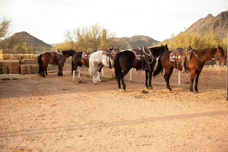 Cave Creek Fiesta Days Rodeo 2015 Cowboy Lifestyle Network
