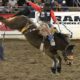 Sponsorship-between-Justin-Boots-and-the-PRCA-Dustin-Flundra(FI)