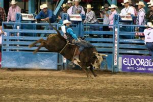 Reno Rodeo Bull Riding by Kyle Jones