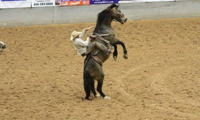 Coors Cowboy Club Ranch Rodeo 2015 Part 2