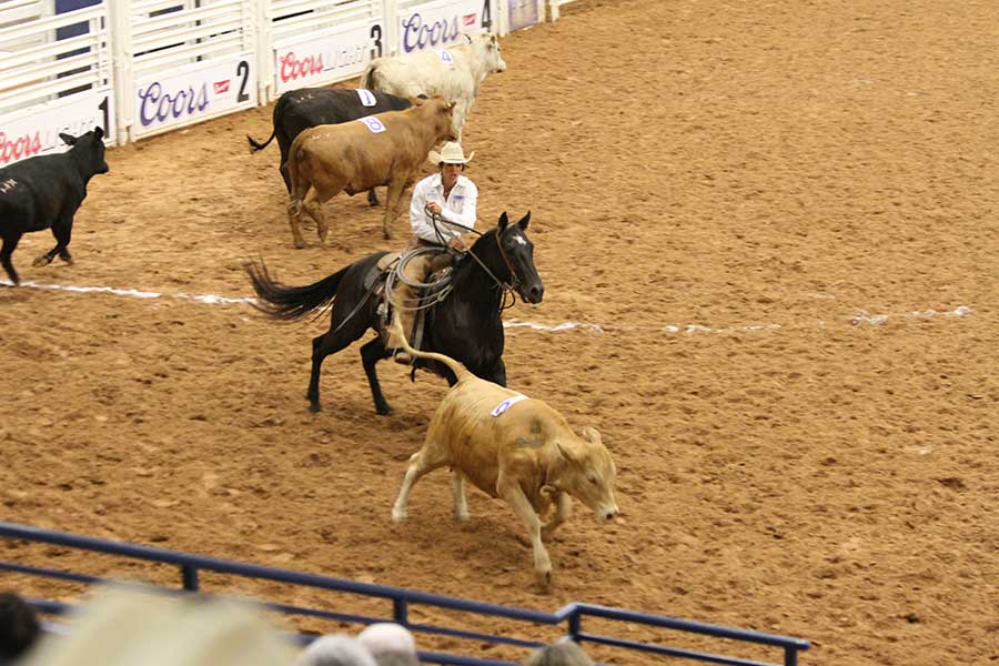 Corous Rodeo Coors Cowboy Club Ranch Rodeo 2015 | CLN
