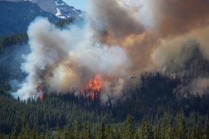 Large-forest-fire-with-smoke-plume-burning-in-the-Rocky-Mountains--canstockphoto4498225
