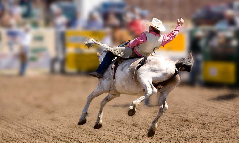 PRCA Ram Rodeo 2015 In Pueblo Colorado CLN