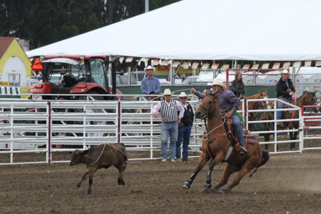 Salinas Rodeo Highlights 2015 CLN