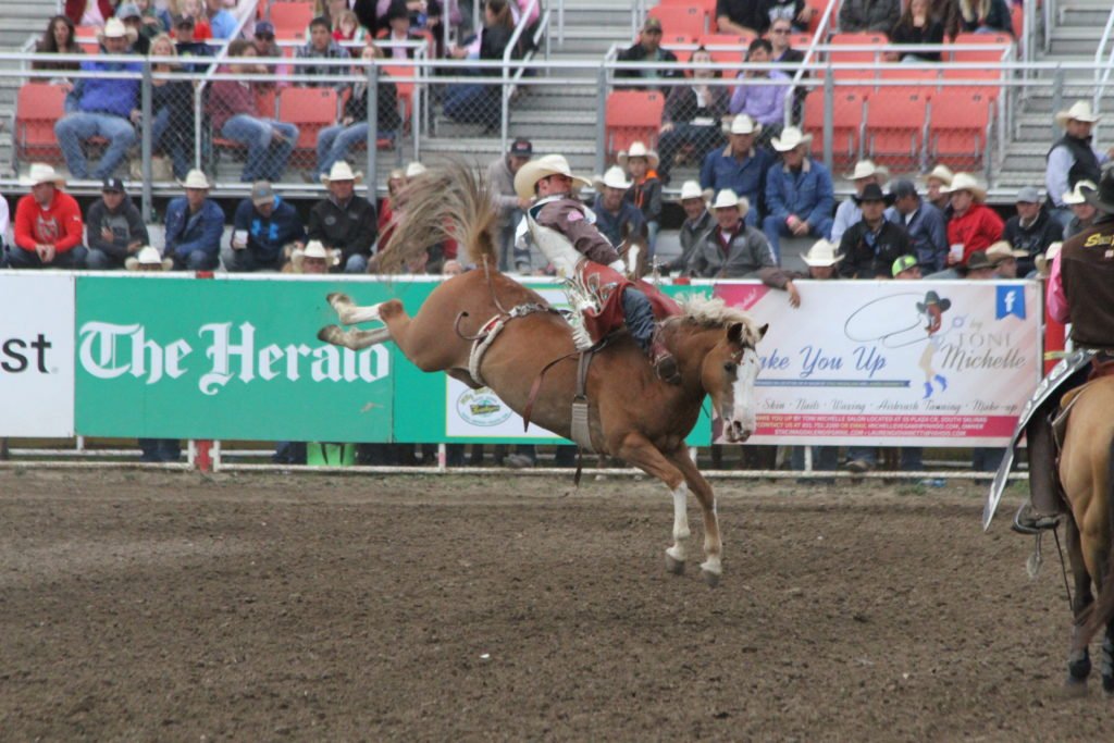 Salinas Rodeo Highlights 2015 CLN