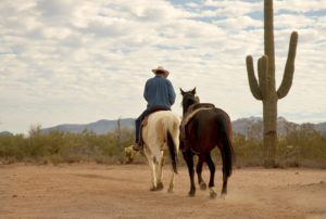 Early morning arizona cowboy leading a horse out on the trail canstockphoto0475099