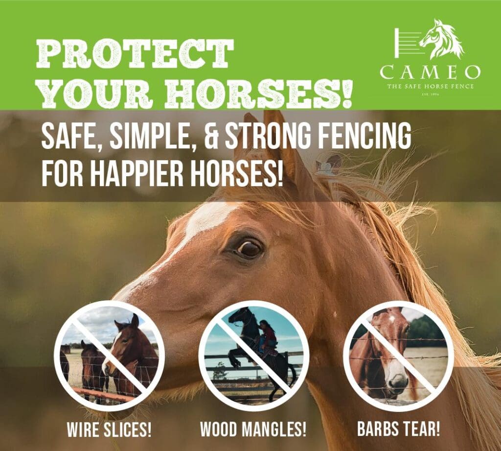 Image of a horse peering over a fence with advertisement overlay of Cameo fencing