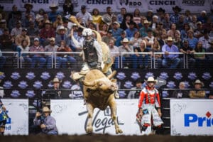 The Ultimate Showdown: CINCH Playoffs - The Governor's Cup - Cowboy ...