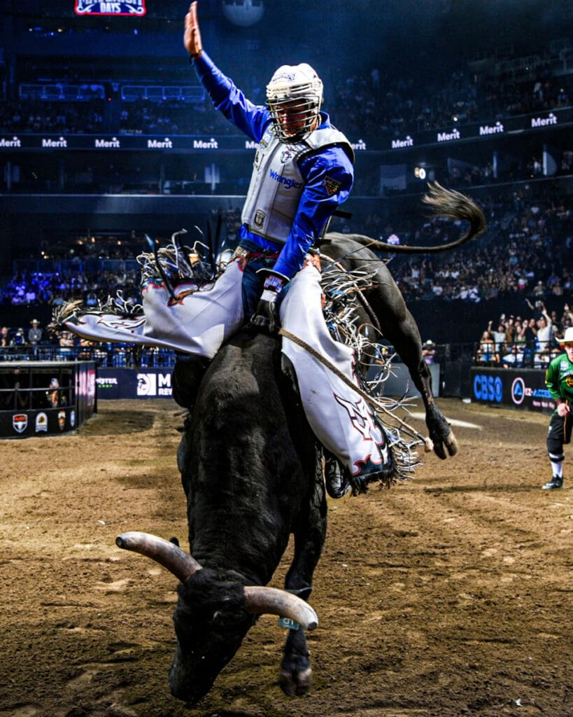 Photo Courtesy of Bull Stock Media