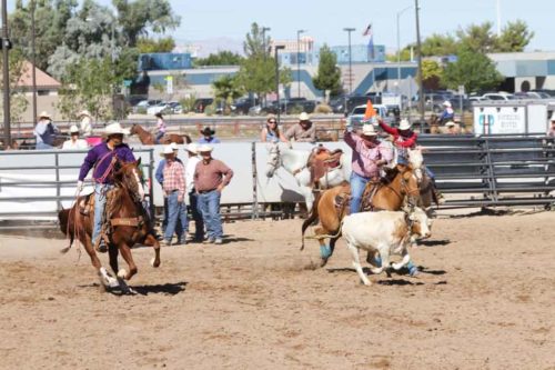 NSPRA Senior National Finals Rodeo 2015 | CLN
