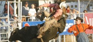 PRCA-Brawley-Cattle-Call-Rodeo-2015-Flash