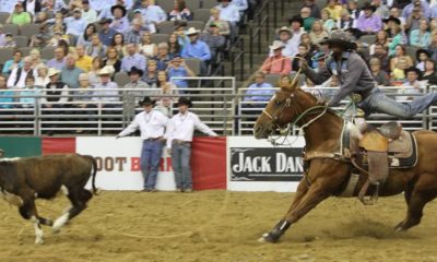 Tie Down Roping