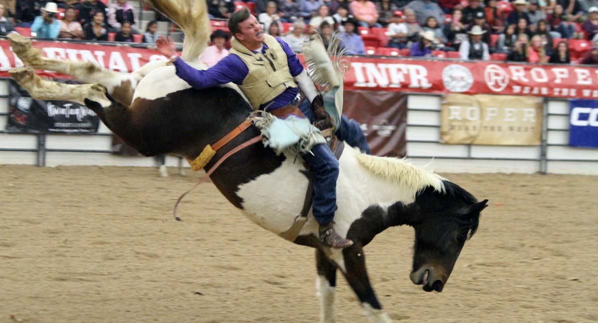 INFR Finals Rodeo 2015 Highlights Cowboy Lifestyle Network