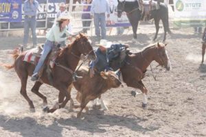 Rex Allen Days Rodeo 2015 Highlights (1 of 31)