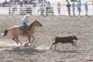 Rex Allen Days Rodeo 2015 Highlights (11 of 31)