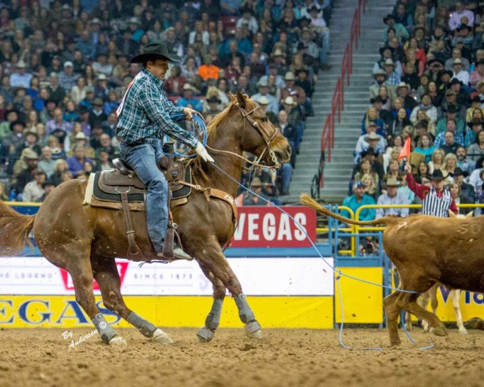 History Made at the 2015 Wrangler National Finals Rodeo