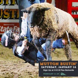 San Antonio Stock Show and Rodeo 2016 Mutton Bustin