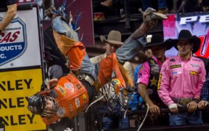 best of 2015 rodeo 6 of 41