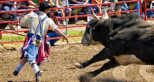 rodeo clown with bull