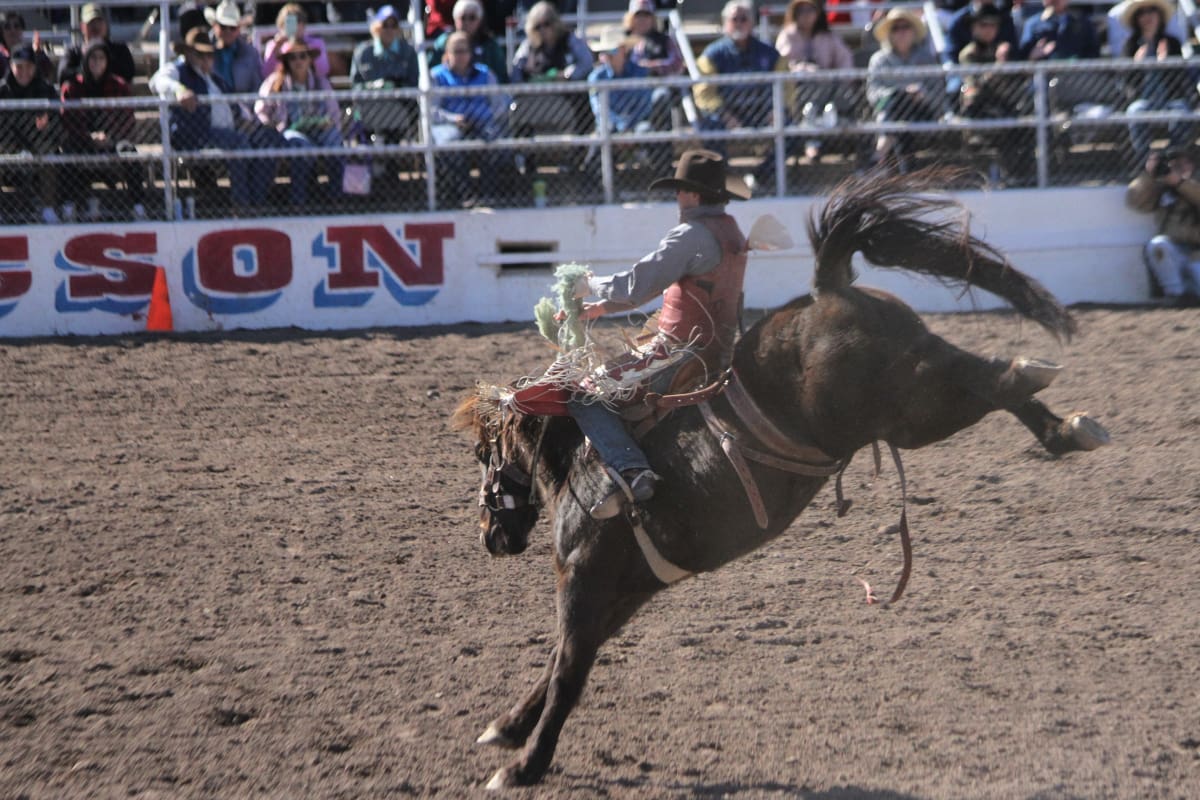 Experience the Heart of the Desert at La Fiesta de los Vaqueros Tucson ...