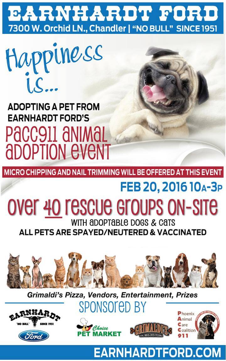 Adopt a Pet at Earnhardt Fords Annual Animal Adoption Event Flyer