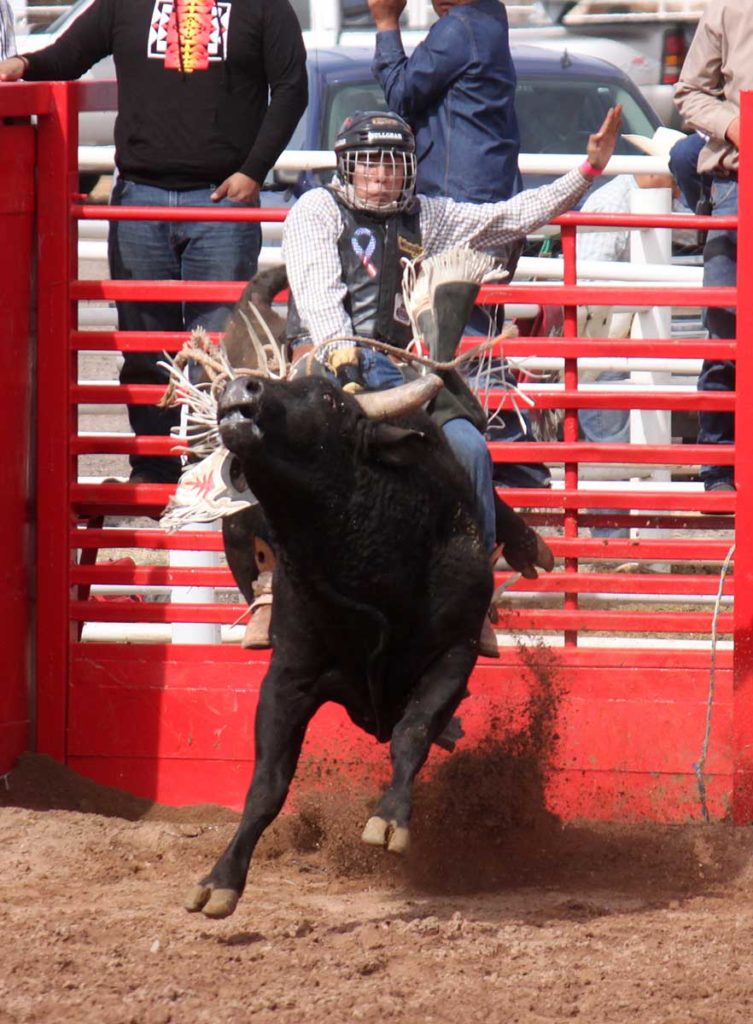 Casa Grande Cowboy Days & O'odham Tash 2016 - Cowboy Lifestyle Network