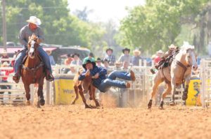 Photo Credit: ArcadiaRodeo.com