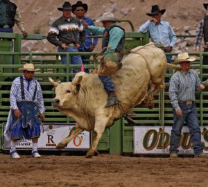 Photo Credit-Gold Rush Days and Senior Pro Rodeo Facebook