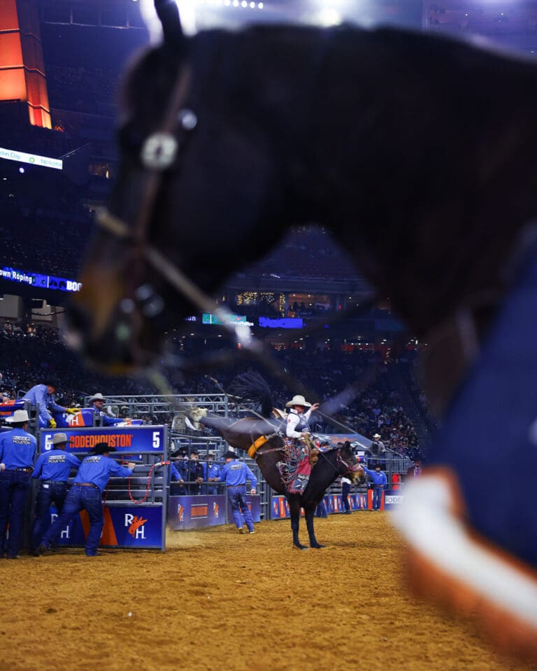 Houston Rodeo Spectators A Legacy of Heart: The Houston Livestock Show and Rodeo 2026 - Cowboy ...