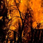 The Danger Of Wild Fires