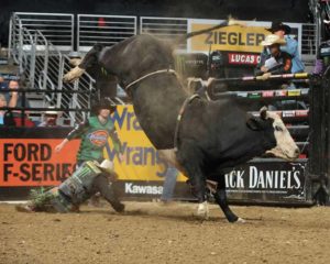 Pearl-Harbor-is-marked-45.75-points-and-ties-for-the-top-bull-score-with-Crossfire-via-PBR