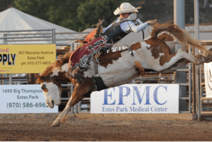 Bareback Rider at Estes Park Rooftop Rodeo