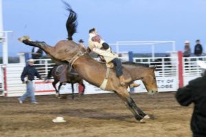 GCPRA Copper Dust Stampede Rodeo in Globe AZ-18