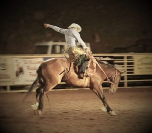 2016 GCPRA Dueces Wild Rodeo in Show Low AZ 3