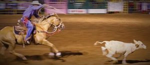 2016 GCPRA Dueces Wild Rodeo in Show Low AZ Roping
