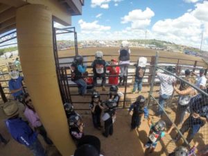 Mutton Bustin' at Payson's PRCA Pro Rodeo