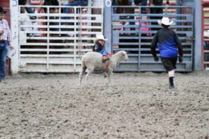 Red Ryder Roundup Rodeo in Pagosa Springs Colorado-2