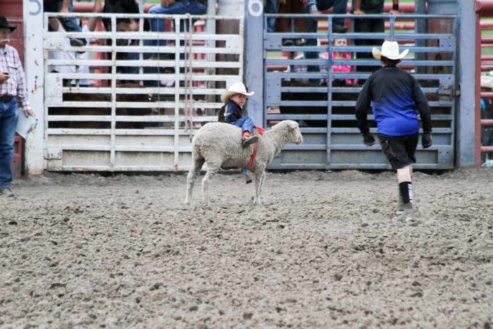 65th Annual Red Ryder Roundup Rodeo in Pagosa Springs, Colorado