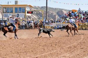 Senior Navajo Nation Rodeo