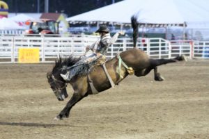 California Rodeo Salinas 7-16-15 (111) Wade Sundell
