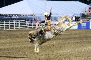 California Rodeo Salinas 7-16-15 (113)