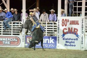 Caldwell Night Rodeo (CNR) Bull Riding